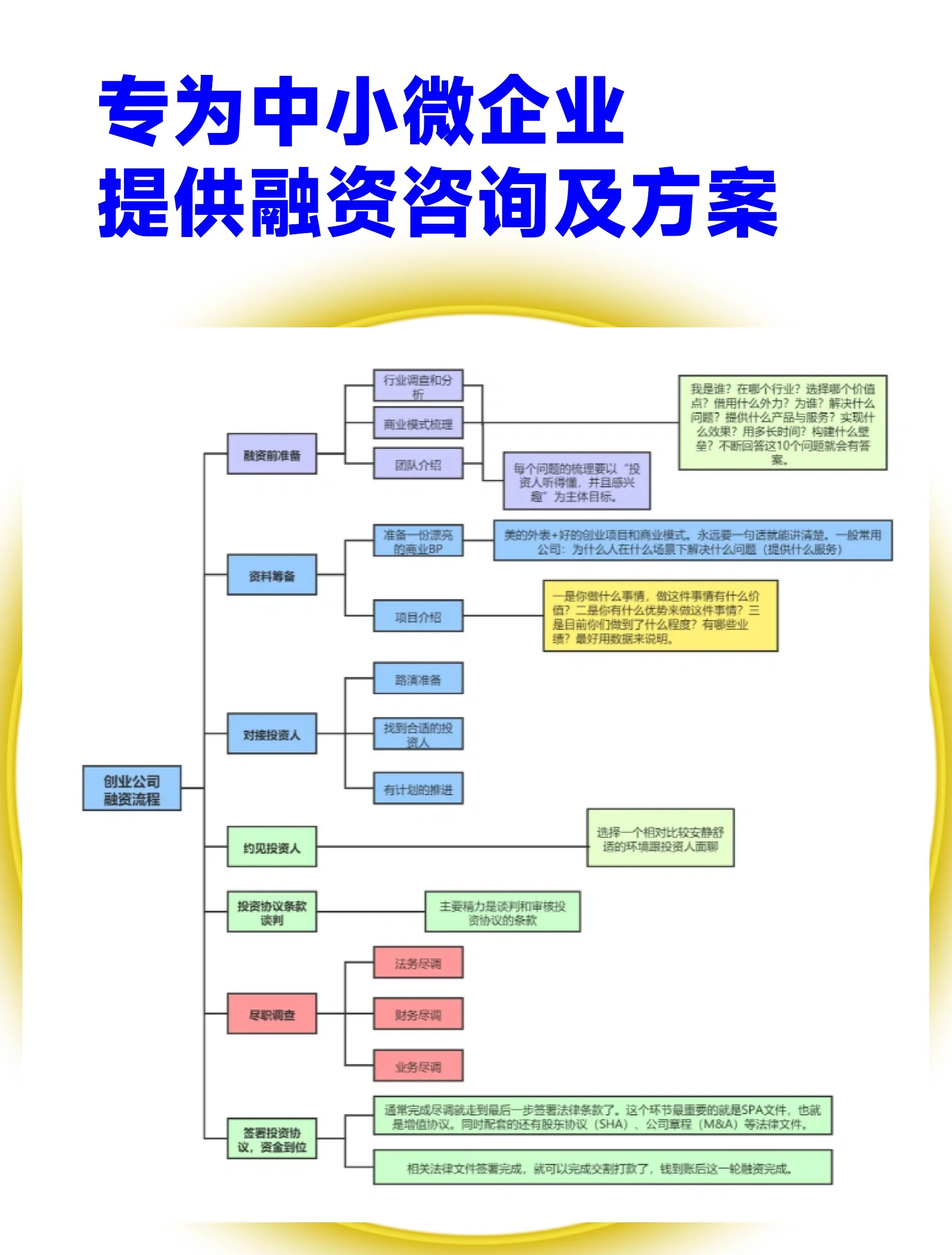 六安市宠物企业资金管理(宠物管理机构叫什么)
