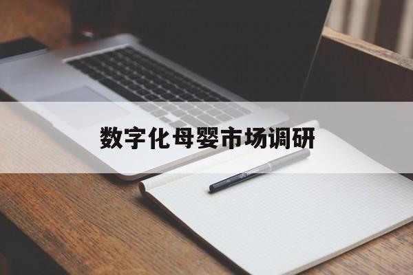 六安市数字化母婴市场调研(数字化母婴市场调研报告)