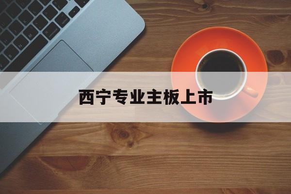 六安市西宁专业主板上市(西宁有什么上市公司)