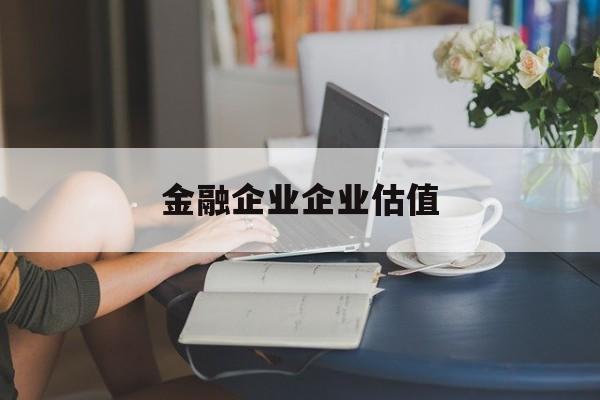 六安市金融企业企业估值(最新企业估值怎么填)